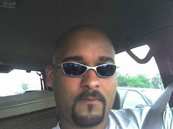 shades2.jpg